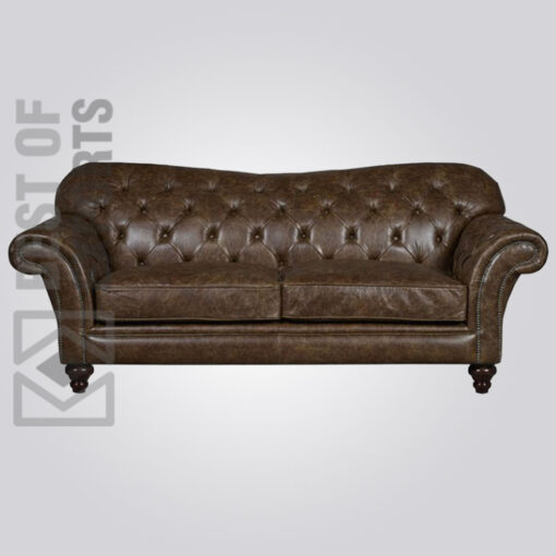 Modern Leather Sofa