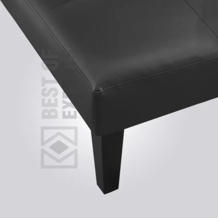 Naomi Tufted Futon Sofa