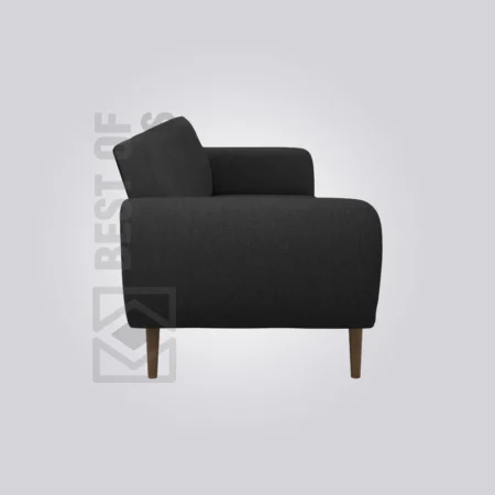 The Mid-Century Modern Sofa