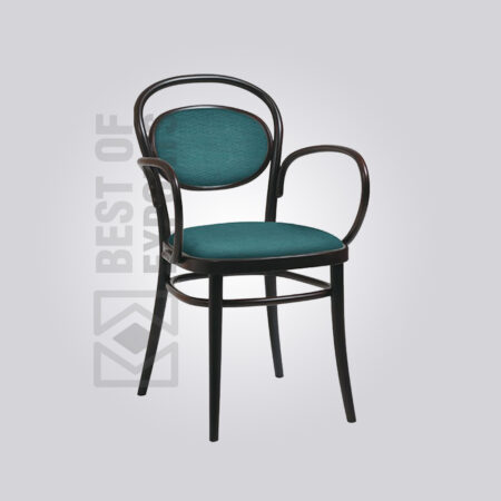 Metal Upholstery Chair with arm