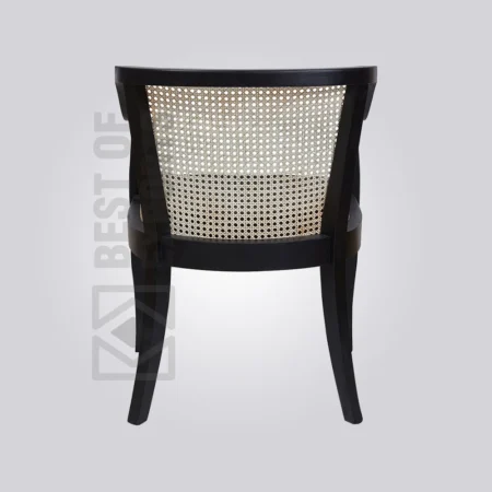 Back Accent Armchair
