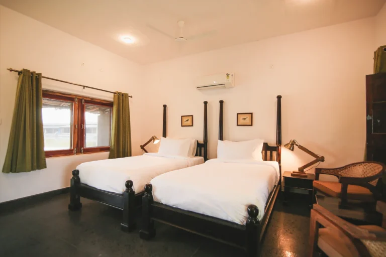 Feathers And Hampis, Karnataka