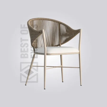 Pari Metal Chair